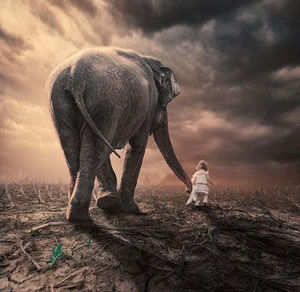 Meet your Posher, Lucy